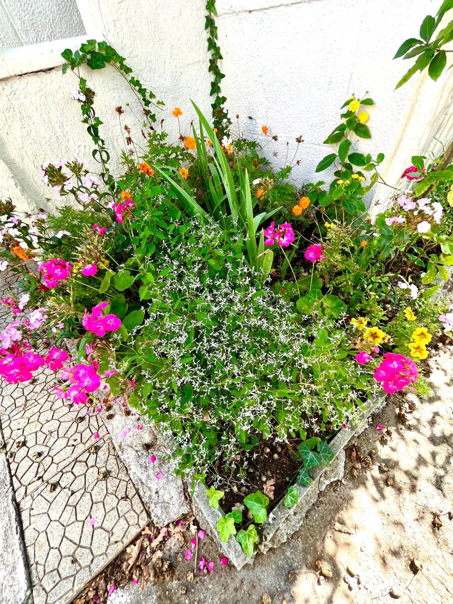 Cosy House Near Paris, Cdg Airport + Parking Villa Aulnay-sous-Bois Exterior photo